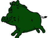 Dibuix Porc senglar pintat per fgtj