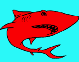 Dibuix Tiburón pintat per arnau c.