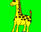 Dibuix Girafa pintat per daniel