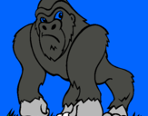 Dibuix Goril·la pintat per arnau