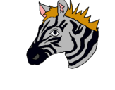 Dibuix Zebra II pintat per pol