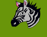 Dibuix Zebra II pintat per mariona.r.o