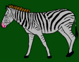 Dibuix Zebra pintat per aleix bria