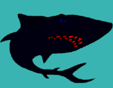 Dibuix Tiburón pintat per aleix bria