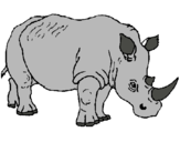 Dibuix Rinoceront pintat per pol