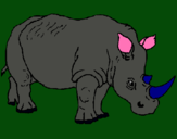 Dibuix Rinoceront pintat per aleix bria