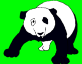 Dibuix Ós panda pintat per mar imbergamo guasch
