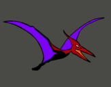 Dibuix Pterodàctil pintat per Cisel
