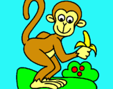 Dibuix Mono pintat per anna