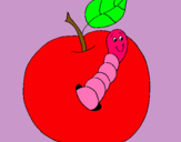 Dibuix Poma amb cuc pintat per laura