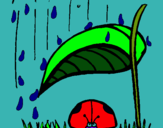 Dibuix Marieta de set punts protegida de la pluja  pintat per jsdrhxcoofa