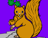 Dibuix Esquirol pintat per marcel andreu