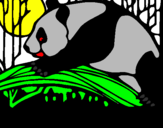 Dibuix Ós panda menjant pintat per carles