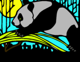 Dibuix Ós panda menjant pintat per sandro   tengobabu