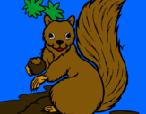 Dibuix Esquirol pintat per Mariona