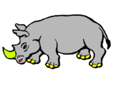 Dibuix Rinoceront pintat per alberto
