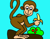 Dibuix Mono pintat per MICO