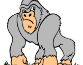 Dibuix Goril·la pintat per ivan torrent