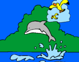 Dibuix Dofí i gavina pintat per POL DE LA RIVA I PUIG
