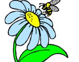 Dibuix Margarida amb abella pintat per anif