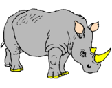 Dibuix Rinoceront pintat per luis