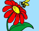 Dibuix Margarida amb abella pintat per claudia