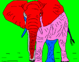 Dibuix Elefant pintat per papallona judith