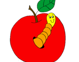 Dibuix Poma amb cuc pintat per cuc i poma