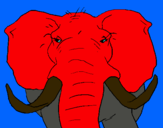 Dibuix Elefant africà pintat per ELEFANT
