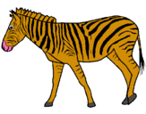 Dibuix Zebra pintat per aida