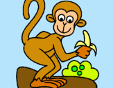Dibuix Mono pintat per roger