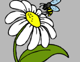 Dibuix Margarida amb abella pintat per Anna
