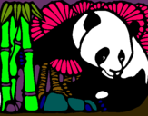 Dibuix Ós Panda i Bambú pintat per salva