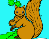 Dibuix Esquirol pintat per lidia