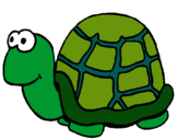 Dibuix Tortuga pintat per tortuga