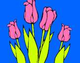 Dibuix Tulipes pintat per ÈNIA MORGADES