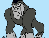 Dibuix Goril·la pintat per niaka
