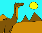 Dibuix Camell pintat per julia  llagostera