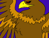 Dibuix Àguila Imperial Romana pintat per Pere