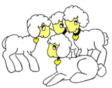 Dibuix Ovelles pintat per ovelles