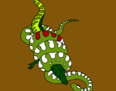 Dibuix Anaconda i caiman pintat per marc corral