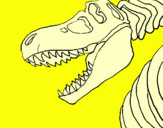 Dibuix Esquelet tiranosauri rex pintat per alexandra