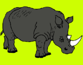 Dibuix Rinoceront pintat per MARGA
