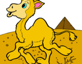Dibuix Camell pintat per carla montejo