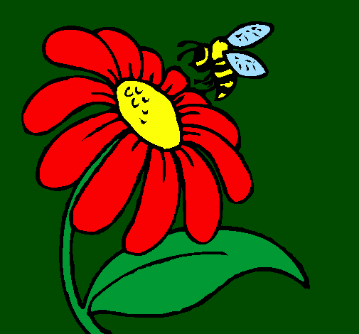 Margarida amb abella