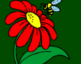 Dibuix Margarida amb abella pintat per S_O_C