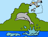 Dibuix Dofí i gavina pintat per Alexa