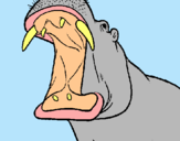 Dibuix Hipopòtam amb la boca oberta pintat per diandra