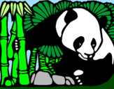 Dibuix Ós Panda i Bambú pintat per Ferran Pellejero Amat