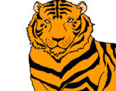 Dibuix Tigre pintat per marta